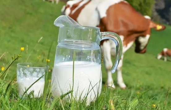 生牛乳是直接喝还是煮一煮-生牛乳一定要煮开才喝吗