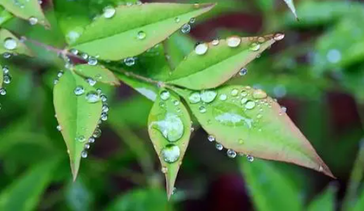 2022深圳10月份雨水多吗-深圳10月份降雨量怎么样