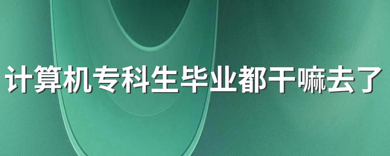 计算机专科生毕业都干嘛去了 找什么工作