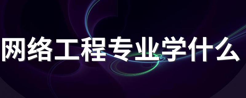 网络工程专业学什么 培养目标是什么