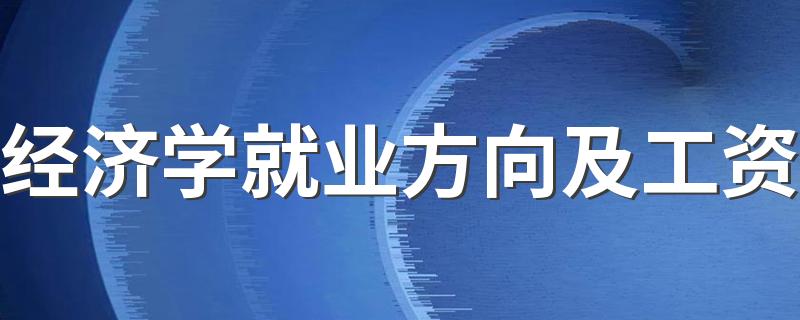 经济学就业方向及工资 挣的多不多