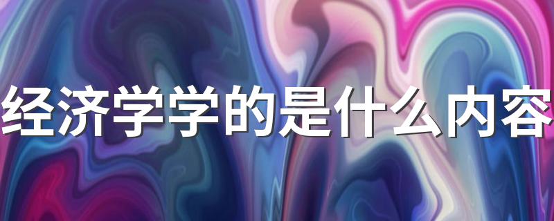 经济学学的是什么内容 就业前景怎么样