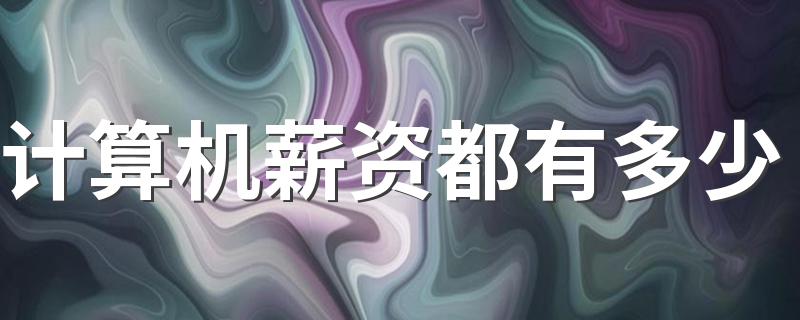 计算机薪资都有多少 每月工资高不高