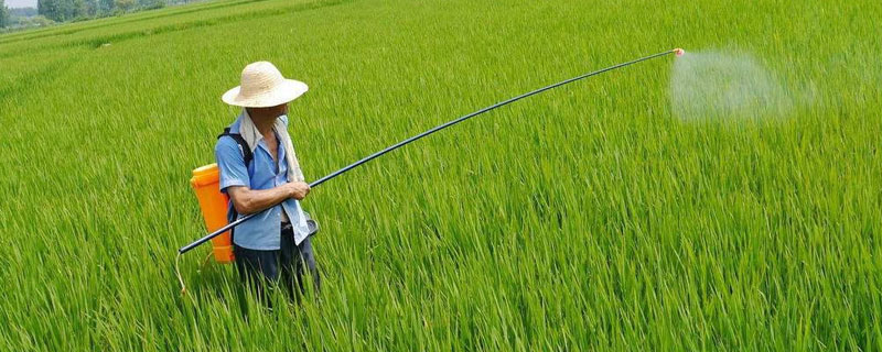 有机磷农药中毒瞳孔变化