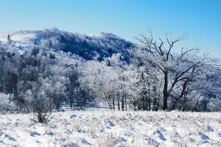 2022年南京11月能不能下雪-南京每年什么时候下雪