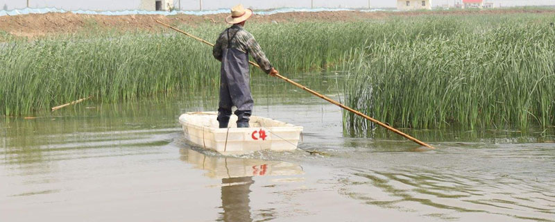 养殖水体的水质特点