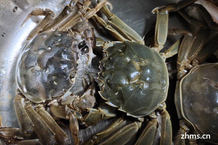 海蟹保存冷冻还是冷藏？海蟹保存的方法很重要