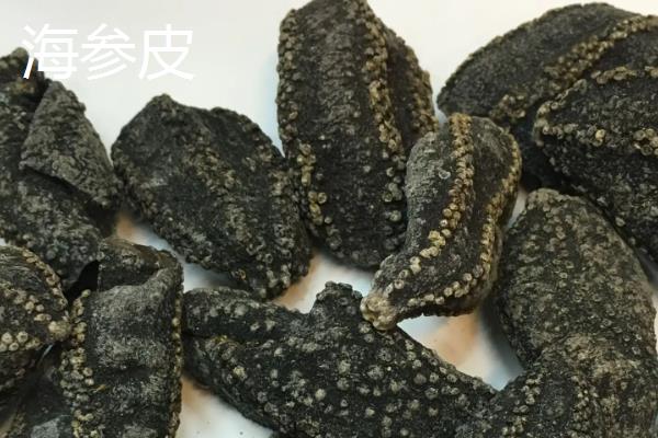 海参皮与海参的区别