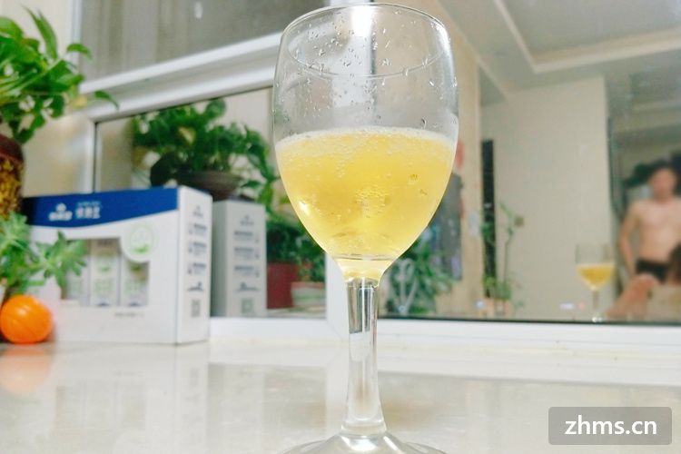 黑啤酒和白啤酒的区别？黑啤酒和白啤酒哪个好？