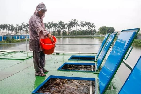 淡水鱼养殖技术与鱼塘管理，什么淡水鱼长得快又大