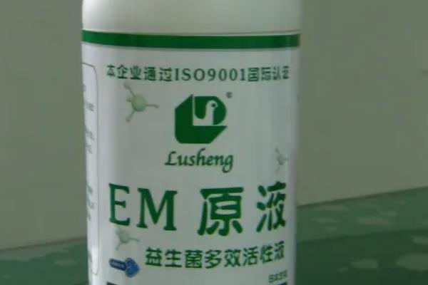 水产养殖em菌的作用与用途，em菌是厌氧菌还是好氧菌