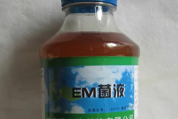 水产养殖em菌的作用与用途，em菌是厌氧菌还是好氧菌