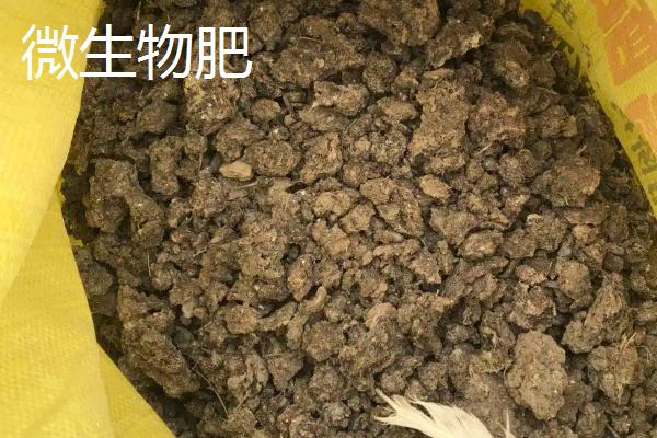 生物肥和微生物肥的区别