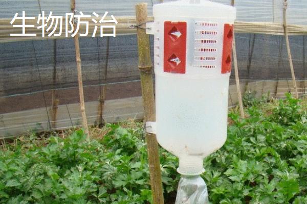 生物防治和化学防治的区别