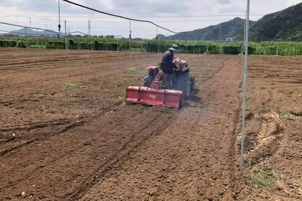 香菜栽培与种植技术，温度多少合适