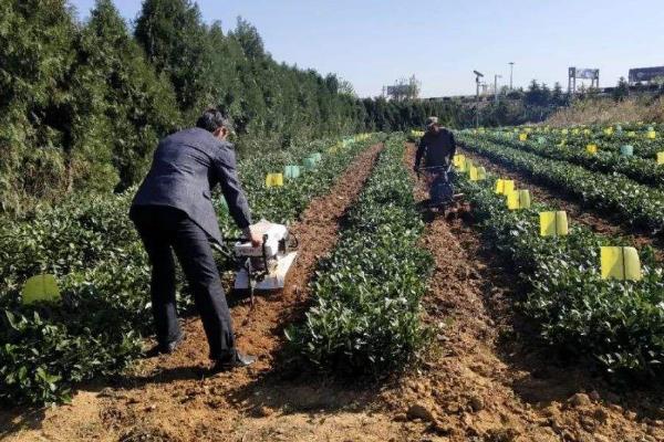 土壤改良方法