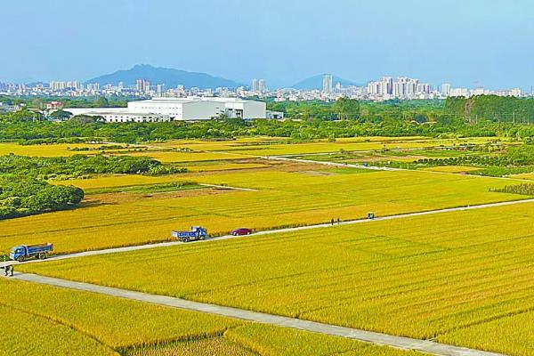 农业农村优先发展四个优先，农村一二三产业分别指什么