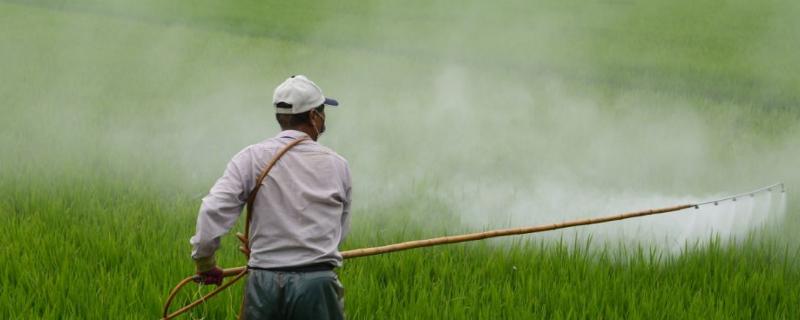 代森锰锌能与哪些杀虫剂混用，代森锰锌的兑水比例