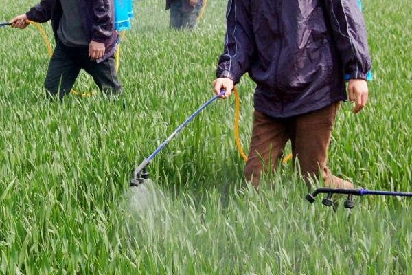 甲维盐是有机磷农药吗，和噻虫螓有什么区别