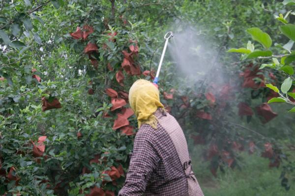 果园除草剂用哪种即除草又不伤树根