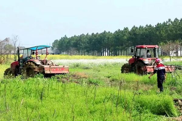 农业种植技术知识，农作物种植包括哪些