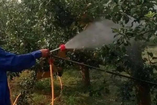 松脂酸铜最佳复配，松脂酸铜的作用