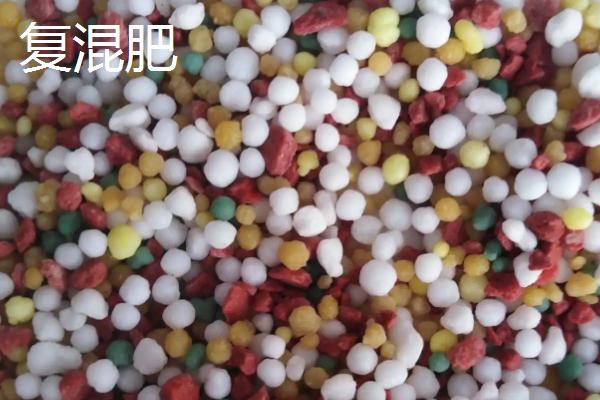 土里放了肥料几天可以种菜，肥料有哪些种类