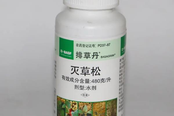 玉米苗后除草剂几天见效