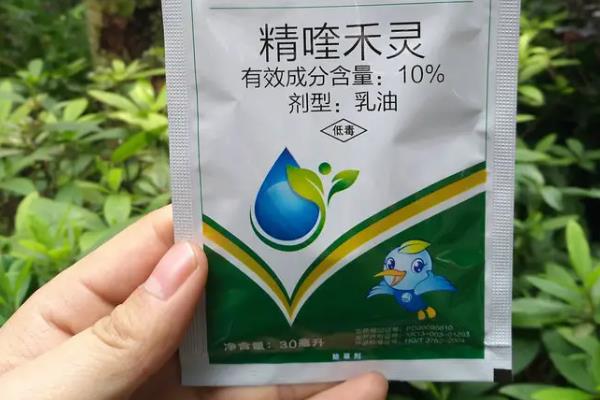 大豆苗后除草剂有哪些