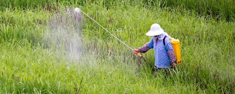 扑草净除草剂使用范围