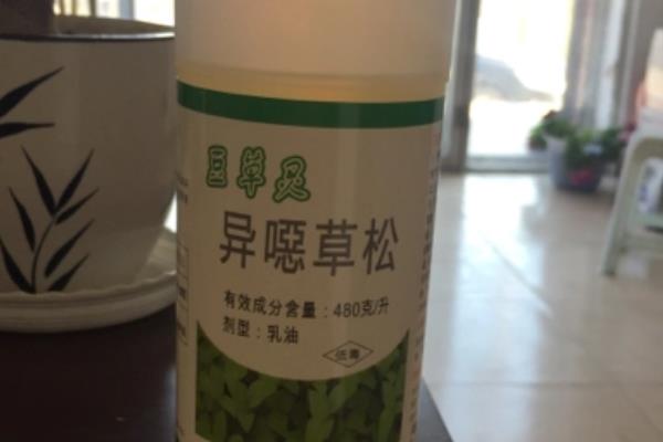 大豆苗后除草剂有哪些