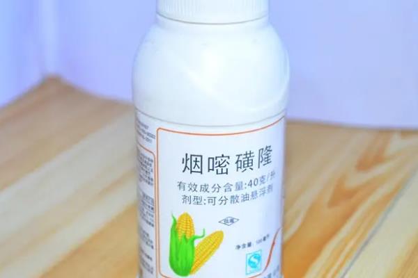 玉米苗后除草剂几天见效