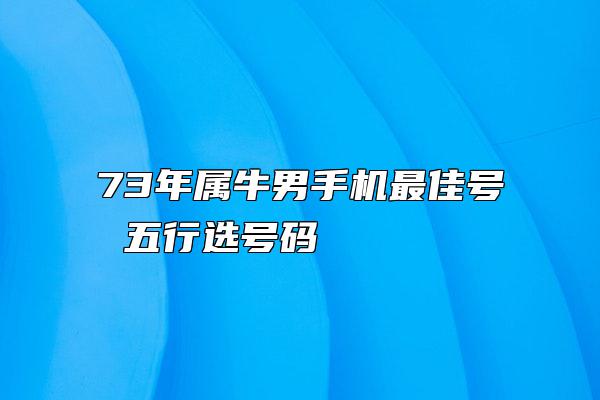 73年属牛男手机最佳号 五行选号码