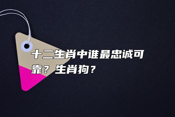 十二生肖中谁最忠诚可靠？生肖狗？