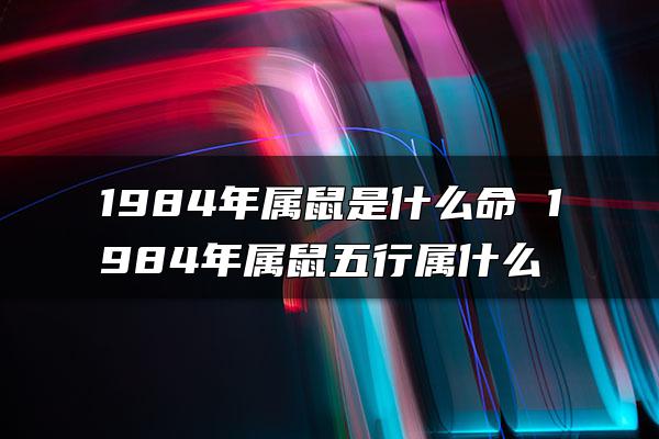 1984年属鼠是什么命 1984年属鼠五行属什么