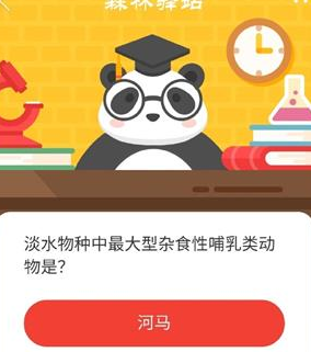 淡水物种中最大型杂食性哺乳类动物是 森林驿站1月9日森林小课堂今日答案