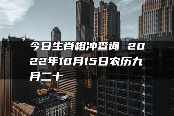 今日生肖相冲查询 2022年10月15日农历九月二十