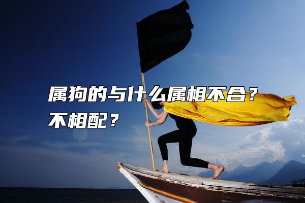 属狗的与什么属相不合？不相配？