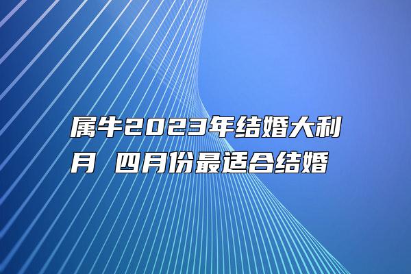 属牛2023年结婚大利月 四月份最适合结婚