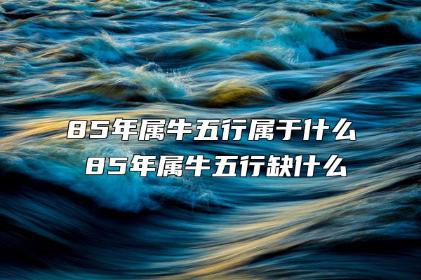 85年属牛五行属于什么 85年属牛五行缺什么