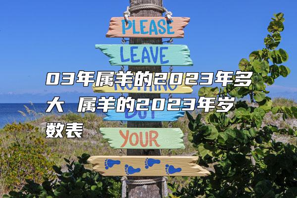 03年属羊的2023年多大 属羊的2023年岁数表