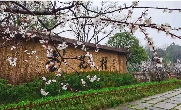 汾酒产地杏花村中华第一村，最早的国酒酿造地还产出两款药酒