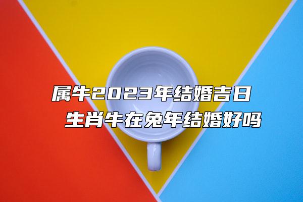 属牛2023年结婚吉日 生肖牛在兔年结婚好吗