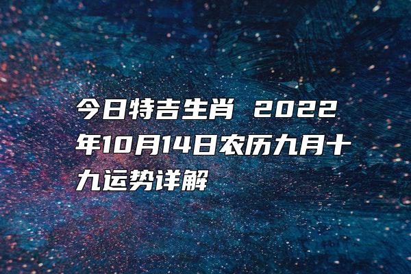 今日特吉生肖 2022年10月14日农历九月十九运势详解