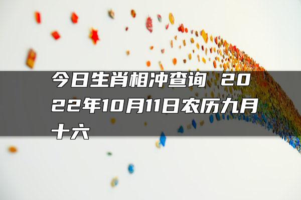 今日生肖相冲查询 2022年10月11日农历九月十六