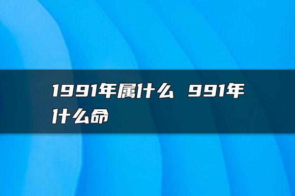 1991年属什么 991年什么命