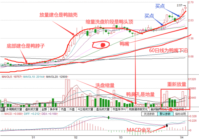 什么样的老鸭头形态上涨最凶？