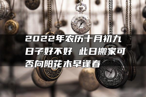 2022年农历十月初九日子好不好 此日搬家可否向阳花木早逢春