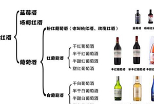 红酒怎么选？干红、干白、红酒、甜酒选购指南