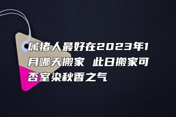 属猪人最好在2023年1月哪天搬家 此日搬家可否室染秋香之气